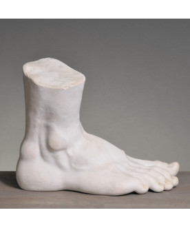 Model Academic Foot