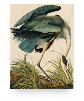 Obraz Reiger/Heron in gras